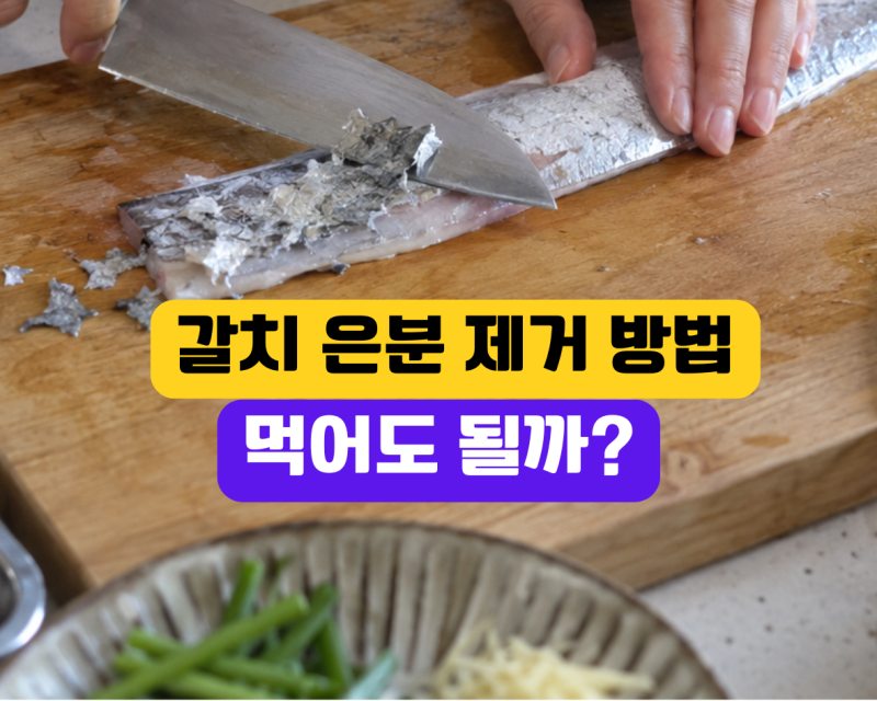 갈치 은분 제거방법, 은색 가루 먹어도 될까? 제철과 손질법