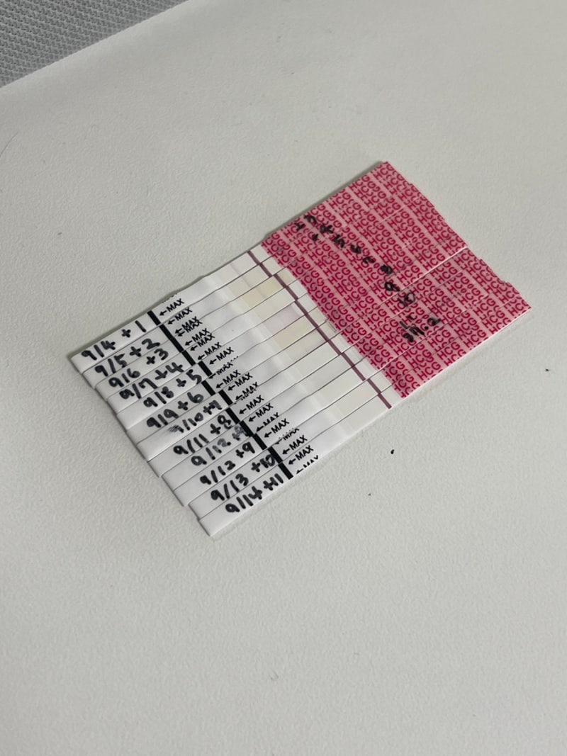 인공수정 2차 후기, 또 한 번 끝난 기다림 그리고 단호박 한 줄
