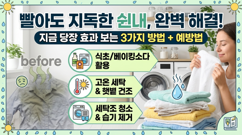빨래 쉰내 제거 방법 — 원인부터 예방까지 한 번에 해결