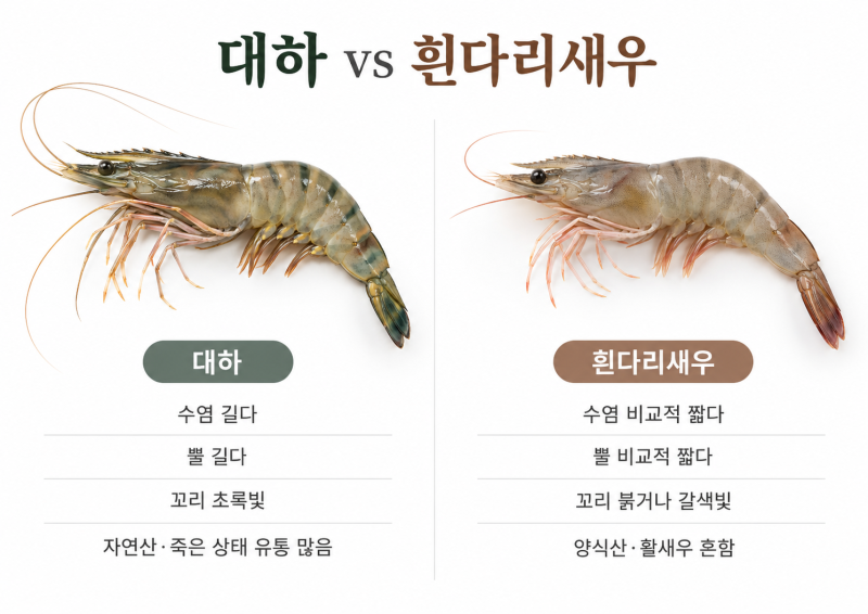 대하 철은 언제? 대하 제철과 흰다리새우 차이·구별법까지 총정리