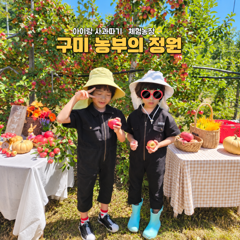 구미 농부의정원 체험농장 아이랑 사과따기 키즈카페