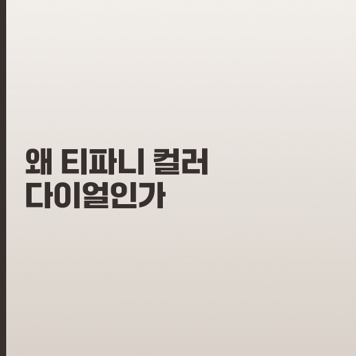 시티즌 남자 시계 티파니 모델이 가격 대비 만족스러울지 고민되는 이유