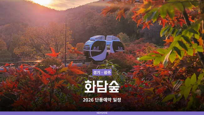 화담숲 단풍 예약 2026｜9월 16일 예매 일정과 11월 4일 실제 후기