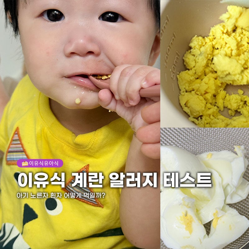 ”노른자 흰자 따로 먹일까?“7개월 아기 이유식 계란 알러지 테스트 방법 증상