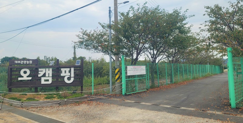 서울 근교 대부관광농원 오캠핑장 / 서해바다 노을 뷰를 바라보며 즐기는 1박 2일 감성 캠핑 ....