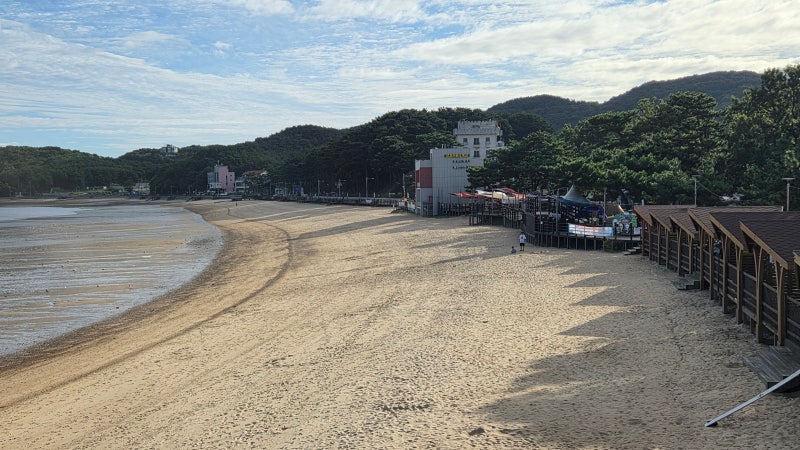 영흥도 장경리해수욕장 26.9.6