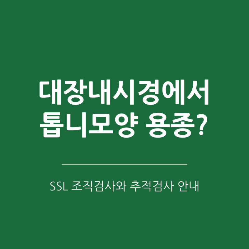 [동탄1 내시경] 대장내시경에서 용종 절제술후 조직검사에서 톱니모양 용종(SSL)이 나왔다면?