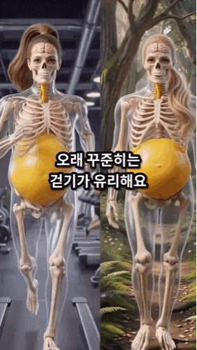 걷기보다 효과좋은 여자 남자 뱃살 빼는 운동 슬로우 러닝 효과 무릎 안아픈 꿀팁