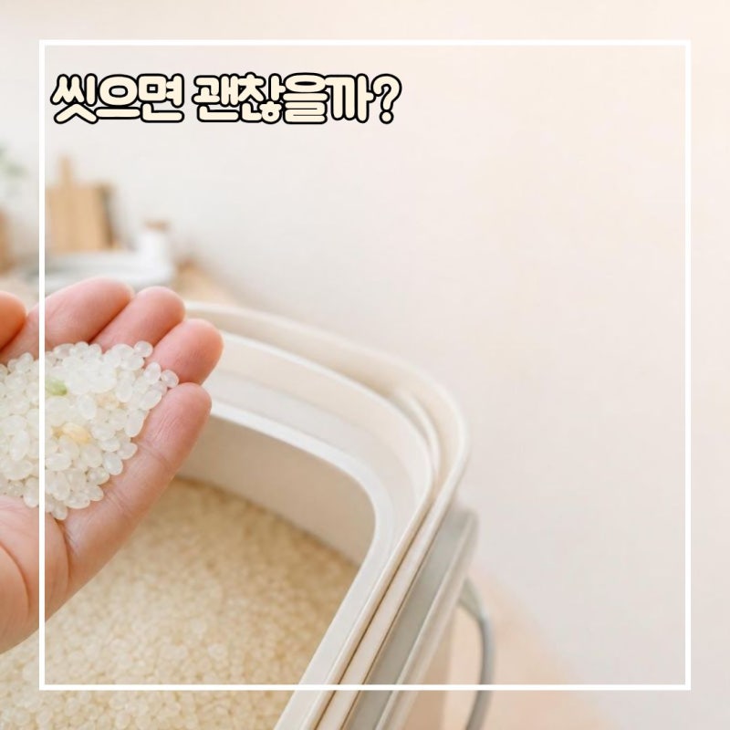 쌀 곰팡이 생겼다면 씻어서 먹어도 될까? 이럴 땐 버려야 해요