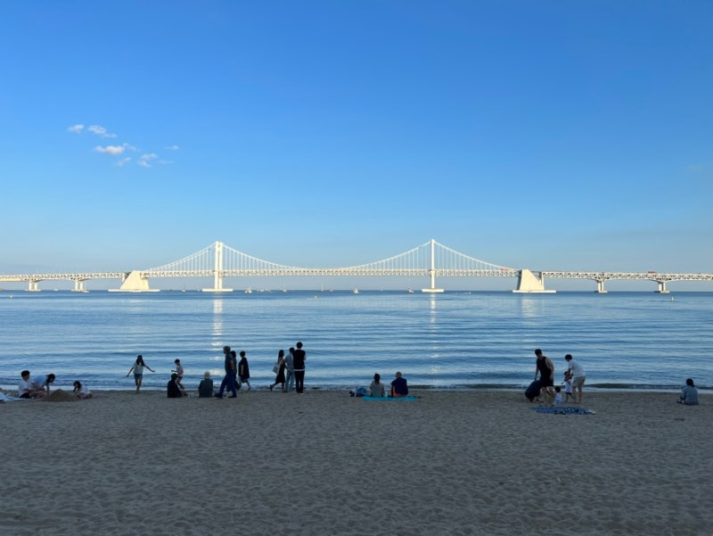 부산 여행 꿀팁 : 요즘 핫한 광안리 해운대 주말 주차 대란 피하기! 실시간 공영 주차장 잔여....