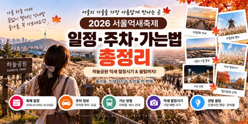 2026 서울억새축제 일정·주차·가는법 총정리｜하늘공원 억새 절정시기