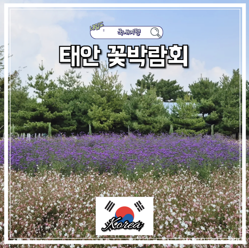 10월축제 10월가볼만한곳 2026 태안 가을꽃박람회 가족여행 꽃구경 나들이 총정리