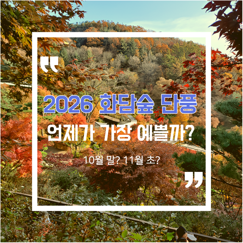 2026 화담숲 단풍 절정시기ㅣ언제 가야 예쁠까?