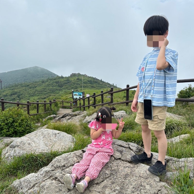 교외체험학습 신청 방법 총정리｜나이스 학부모서비스 신청·기간