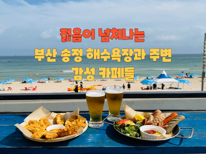 "젊음이 넘쳐나는 부산 송정 해수욕장과 주변 카페들"