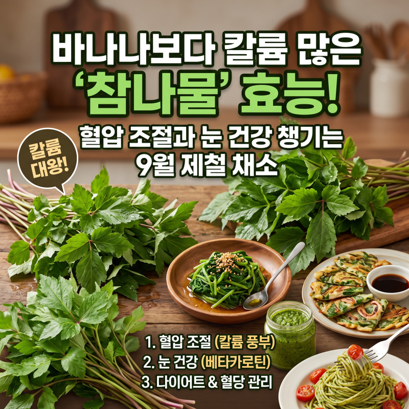 9월 제철 참나물 효능부터 데치기·보관법·페스토 레시피까지 총정리