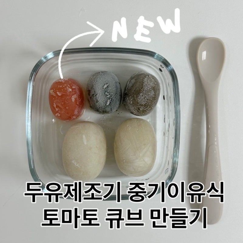 마이아두유제조기 중기이유식 토마토 큐브 만들기