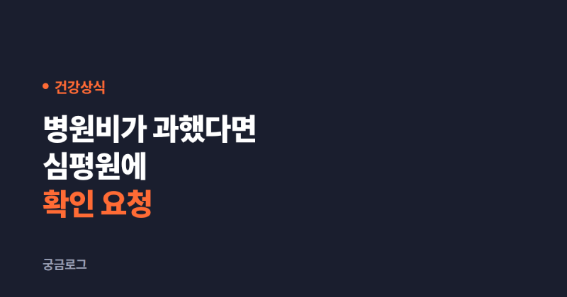 병원비가 과하게 나왔다고 느껴질 때 심평원에 확인 요청하는 방법