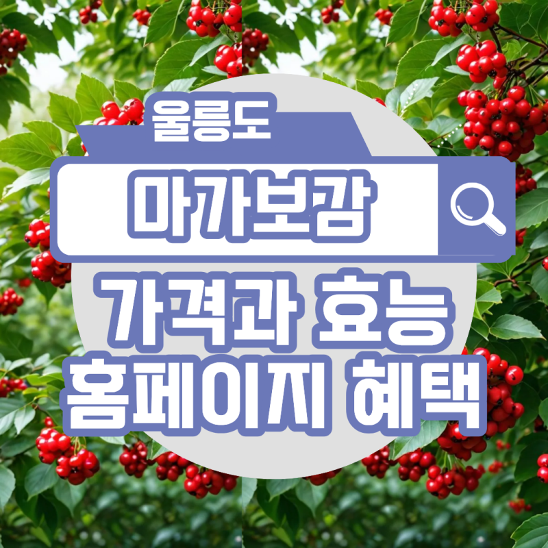 울릉도 마가보감 프리미엄 가격 마가목 성분의 효능