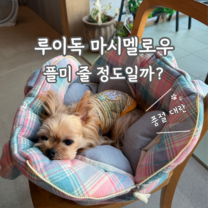 루이독 마시멜로우 어라운드백 재출시! 품절 대란 속 솔직 후기