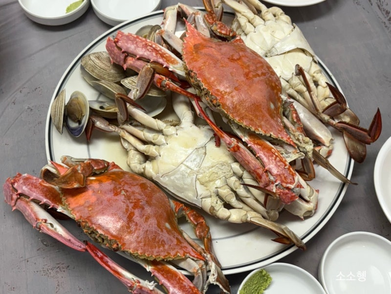 노량진수산시장 숫꽃게 시세 숫꽃게찜 후기 갈릴리 수산 용궁횟집