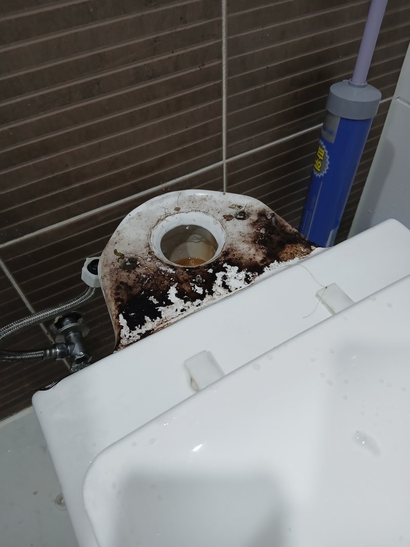 양변기 물탱크부터 비데까지 분해세척 + 고온 스팀 클리닝 분당구 판교 수지구전역