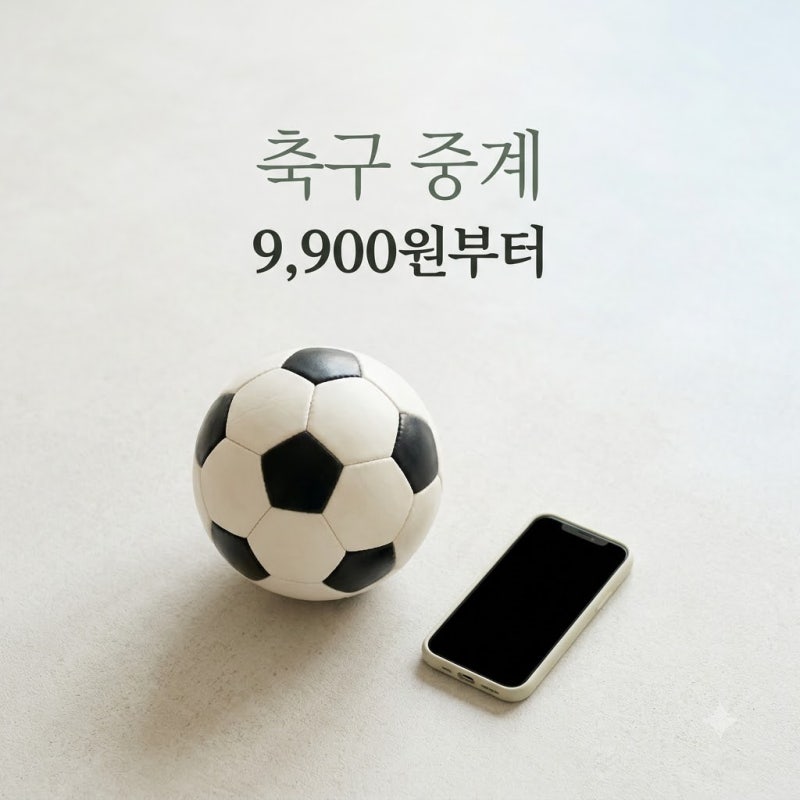 "결국 유료로 봐야 하나.." 해외축구중계사이트, 월 9,900원으로 끝내는 법