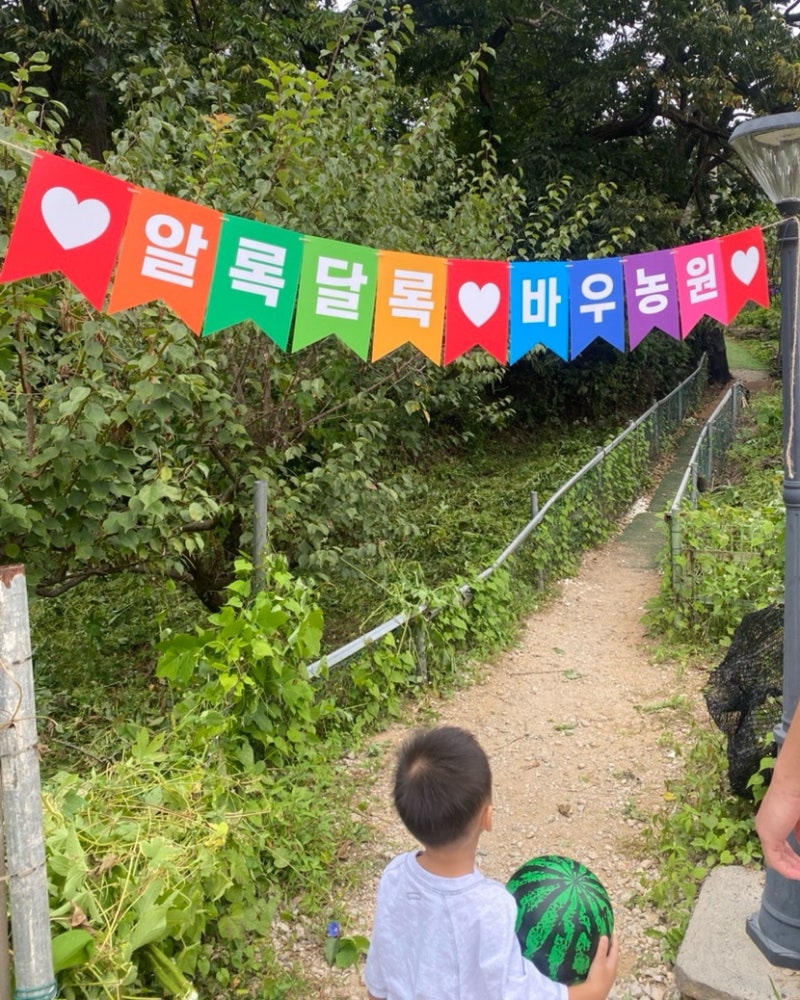 서누랑 남양주 바우농원 / 과일따기, 먹이주기,놀이터까지 농장체험 가득한곳!