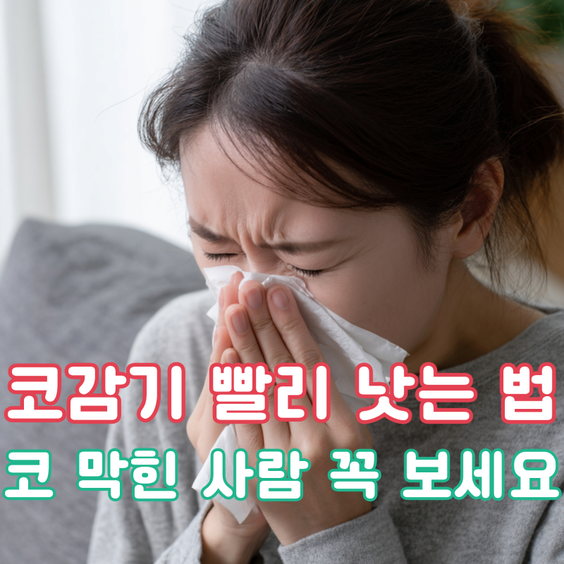 코감기 빨리 낫는 법, 코 막힌 사람한테 이건 알려주세요!