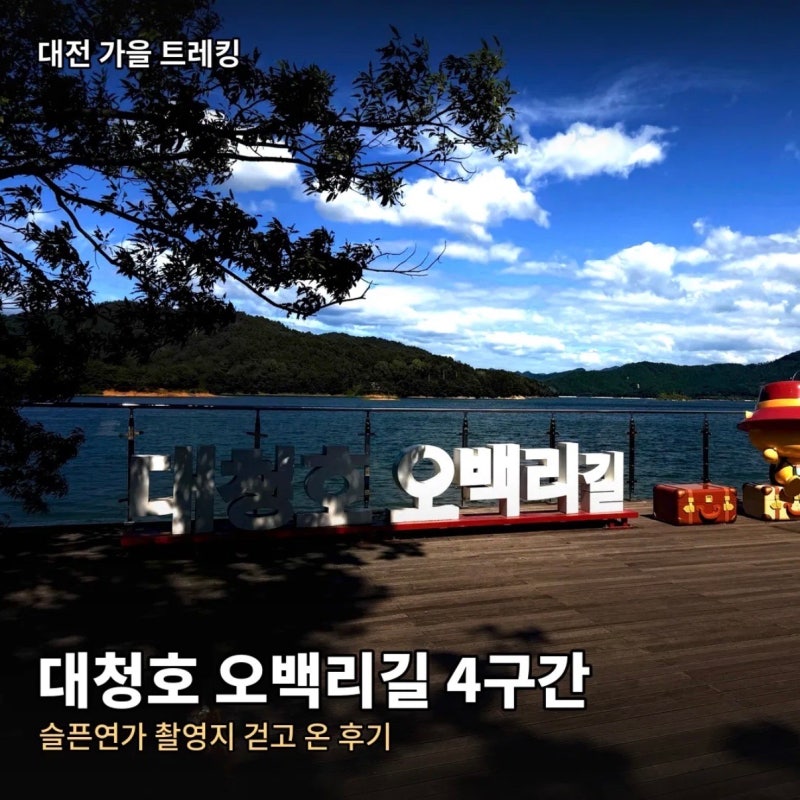 대전 대청호 오백리길 4구간 후기 주차 꿀팁 슬픈연가 촬영지 강아지랑 걷고 온 가을 단풍 트....