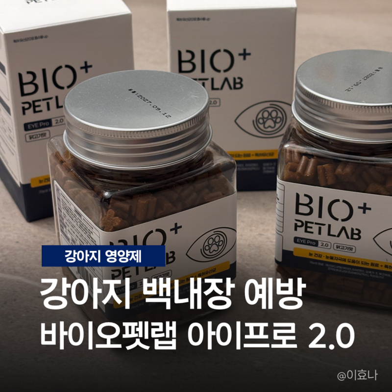 강아지 탁망 백내장 영양제 내돈내산 후기 바이오펫랩 아이프로