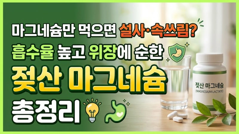 마그네슘만 먹으면 설사와 속쓰림? 흡수율 높고 위장에 순한 젖산 마그네슘 총정리