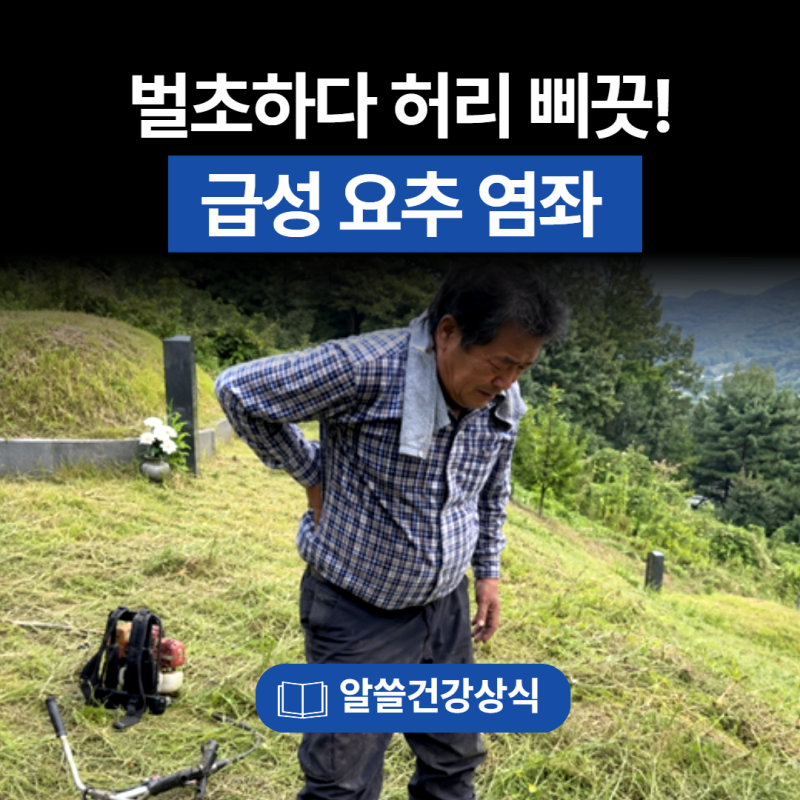 추석 앞두고 벌초하다 허리 삐끗! 급성 요추 염좌 주의