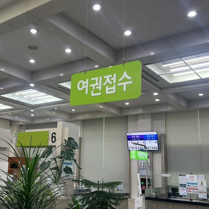 여권 가장 빠르게 받는 법 | 여권 발급 며칠 걸릴까? | 일산동구청 실제 발급 후기
