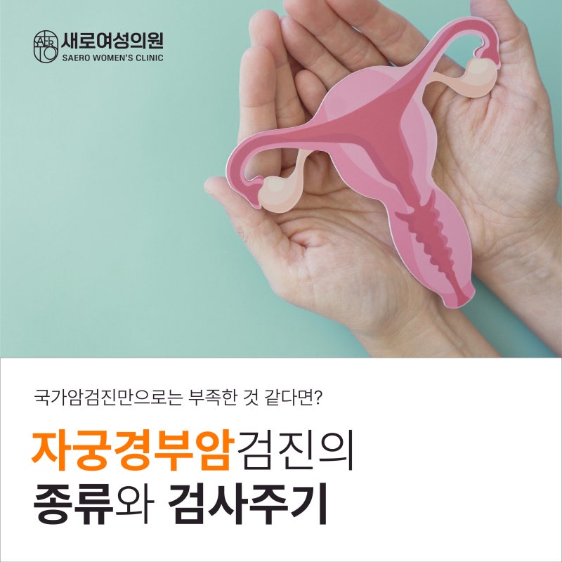 천안 불당동 자궁경부암 검진, 국가검진만 받으면 될까요? 검사주기와 검사결과에 따른 추가....