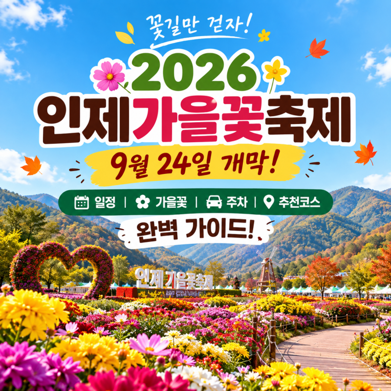 2026 인제가을꽃축제 완벽 가이드! 일정·가을꽃·주차·추천코스 총정리