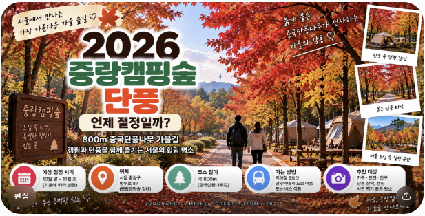 2026 중랑캠핑숲 단풍 언제 절정일까? 붉게 물드는 800m 중국단풍나무길