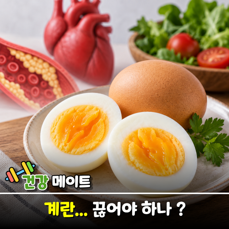 콜레스테롤 높다고 노른자부터 버렸다… 그런데 먼저 줄일 건 따로 있었다