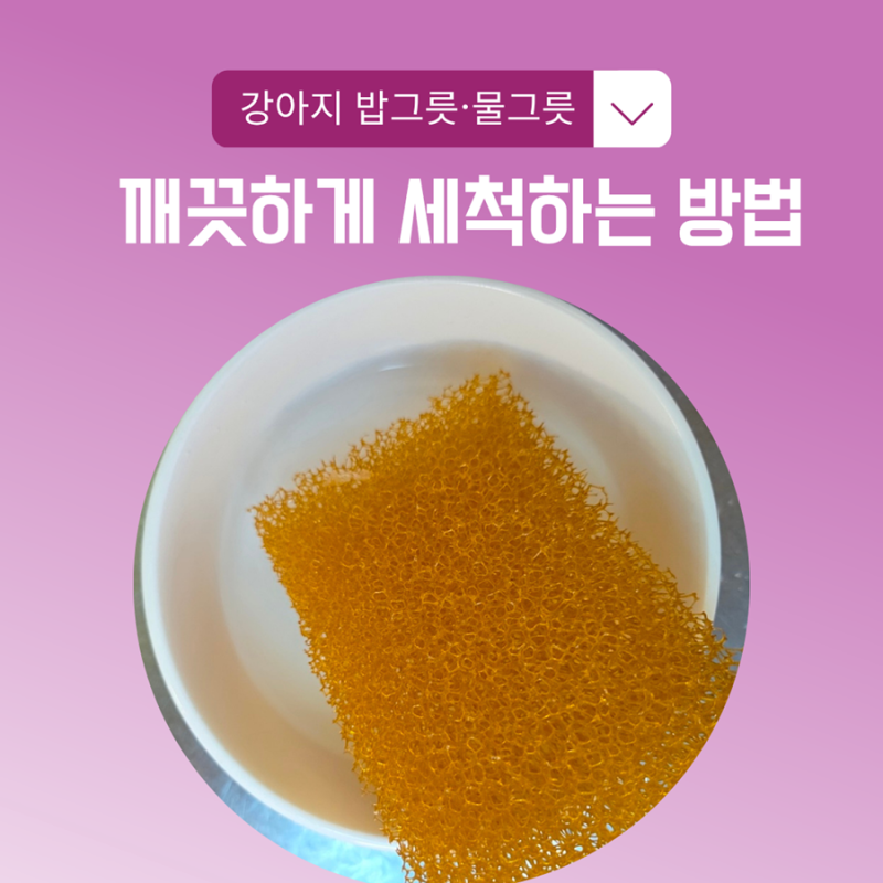 강아지 밥그릇 식기 물그릇 세척방법