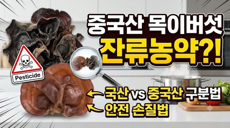 중국산 목이버섯 잔류농약 위험할까? 올바른 불리기 및 국산 구분법 총정리
