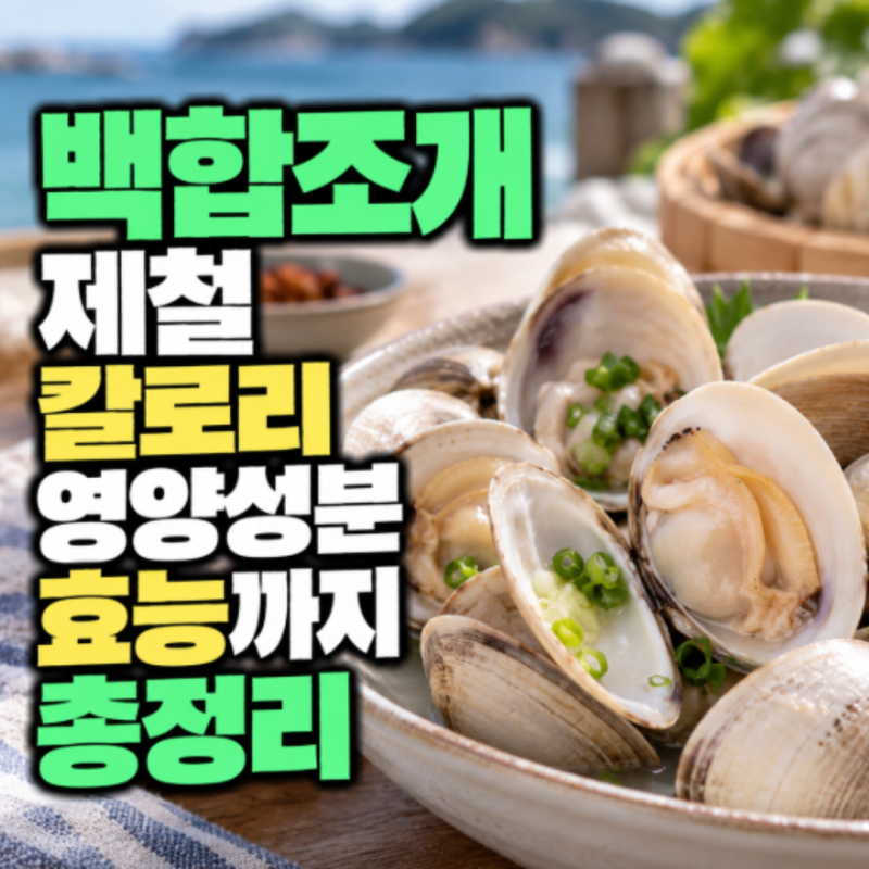 백합조개 제철 칼로리 영양성분 효능까지 총정리