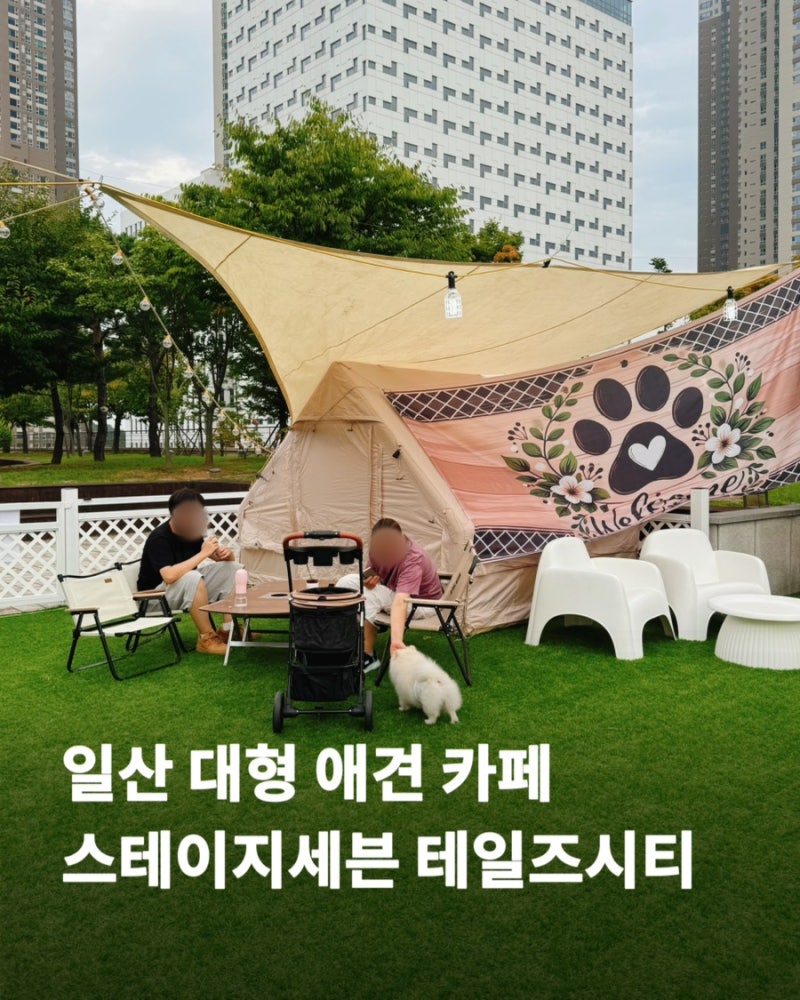 강아지랑 뛰어놀기 좋은 일산 애견동반 카페 테일즈시티