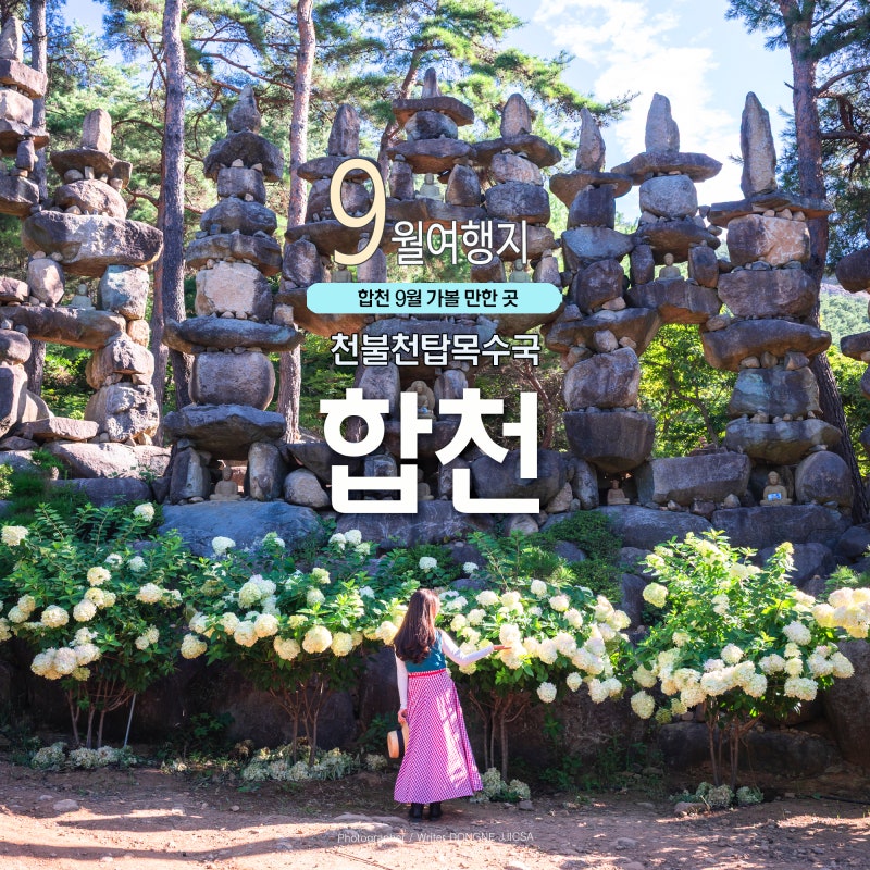 합천 가볼 만한 곳 돌탑과 목수국이 예쁜 허굴산 천불천탑 유럽수국축제