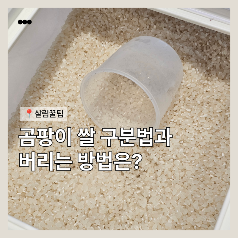 곰팡이 쌀 구분법부터 버리는 법 고민될 때 이렇게 하세요