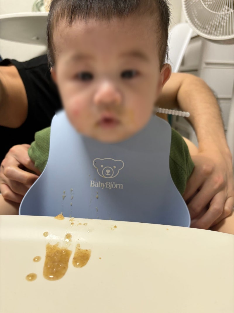 7개월 8개월 9개월 10개월 11개월 돌아기 이유식 거부