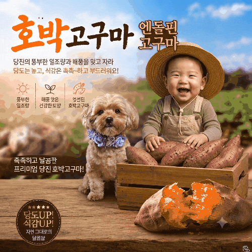 호박고구마10kg 가격 보관방법 건강한식단 딩진 엔돌핀 호박고구마 판매