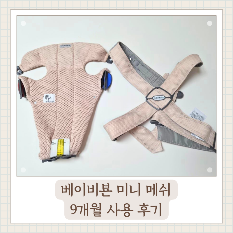 [베이비뵨 아기띠] 베이비 캐리어 베이비뵨 미니 3D 메쉬 9개월 사용 후기(장단점, 착용법)