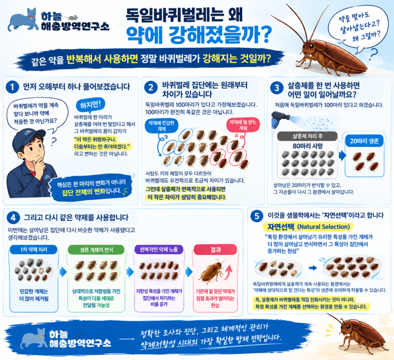 [3편] 독일바퀴벌레 약제저항성의 모든 것-독일바퀴벌레가 약에 강한 이유