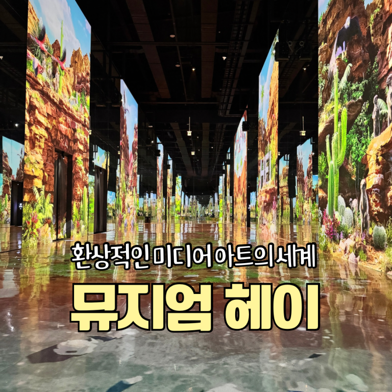 파주 가볼만한곳, 기대 이상이었던 뮤지엄 헤이 100% 즐기기