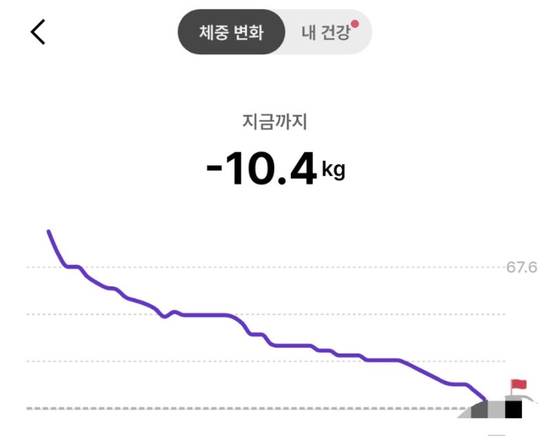 린 다이어트 2개월 내돈내산 후기｜출산 후 살 빼기 성공, -10kg 이상 감량